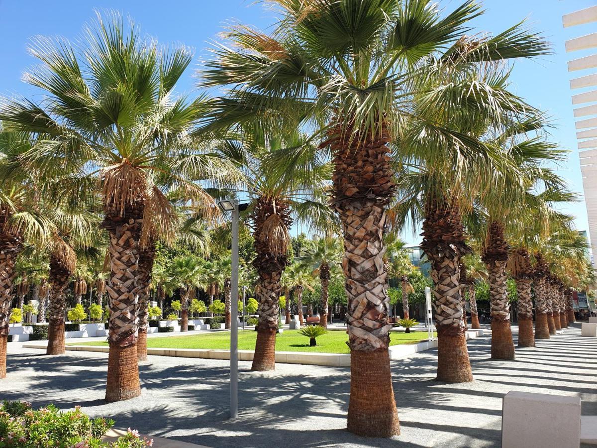Tenerias 2 Castellon de la Plana Ngoại thất bức ảnh